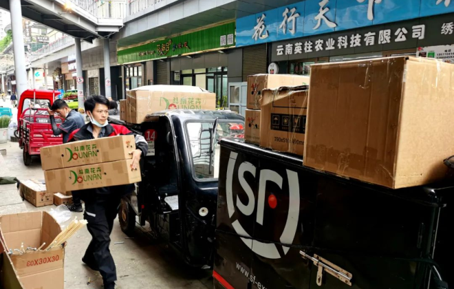 2021年昆明花卉寄遞量達5448.43萬件