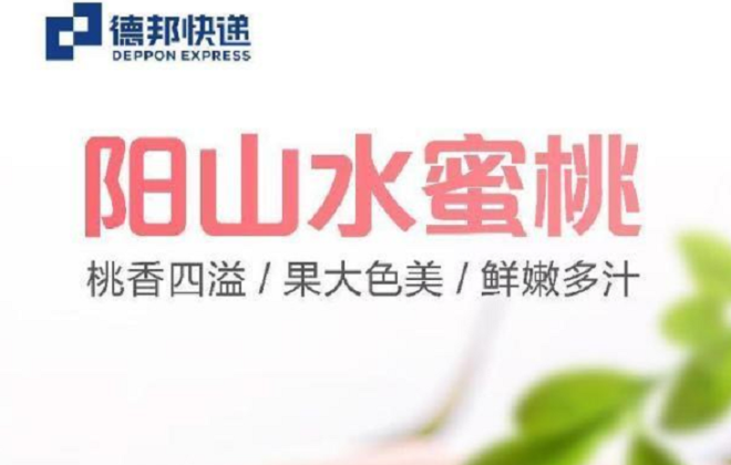 德邦快遞助力無錫陽山水蜜桃銷售