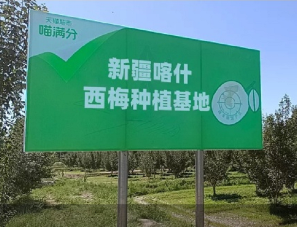 新疆首批法蘭西西梅已在天貓超市上架