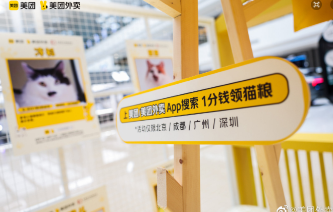 美團外賣聯(lián)合首都動物協(xié)會發(fā)起“流浪貓安家計劃”公益活動