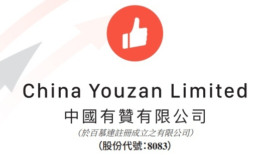 中國有贊2022年中期報告：上半年營收7.29億元，同比減少9.2%