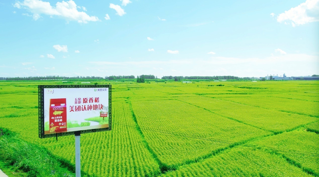 金龍魚宣布與美團買菜達成戰略合作 共建專屬種植基地