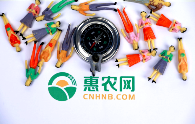 惠農網：第36周排名前15農產品品類市場關注度“6漲7跌2平”