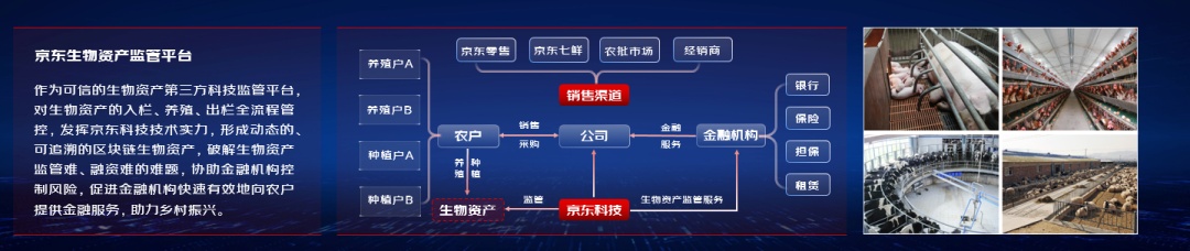 京東科技聯(lián)手郵儲(chǔ)銀行北京分行、北京農(nóng)擔(dān)推出“郵儲(chǔ)-京農(nóng)貸”