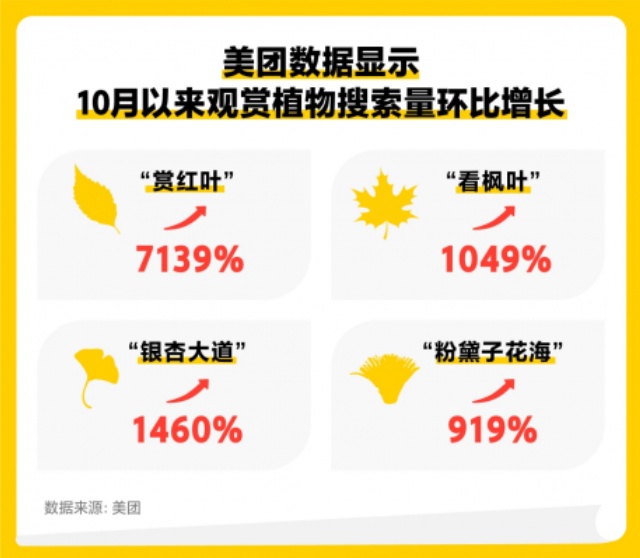 美團：10月以來“賞紅葉”搜索量環比上月增長7139%