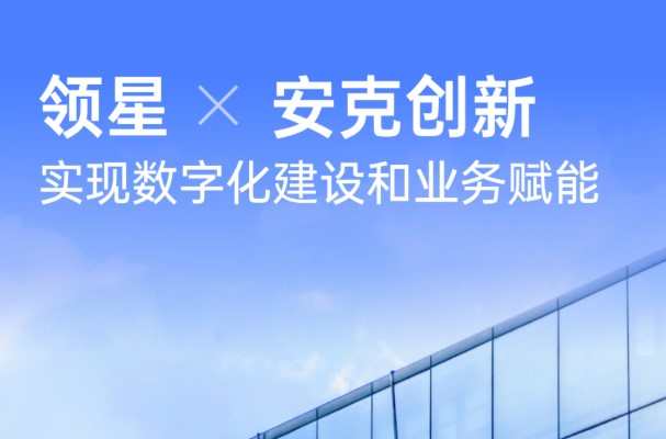 安克創(chuàng)新與領(lǐng)星ERP合作 推進數(shù)字化建設(shè)