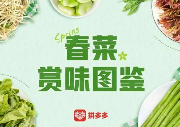 拼多多從山東等多產區嚴選近30種春菜上市