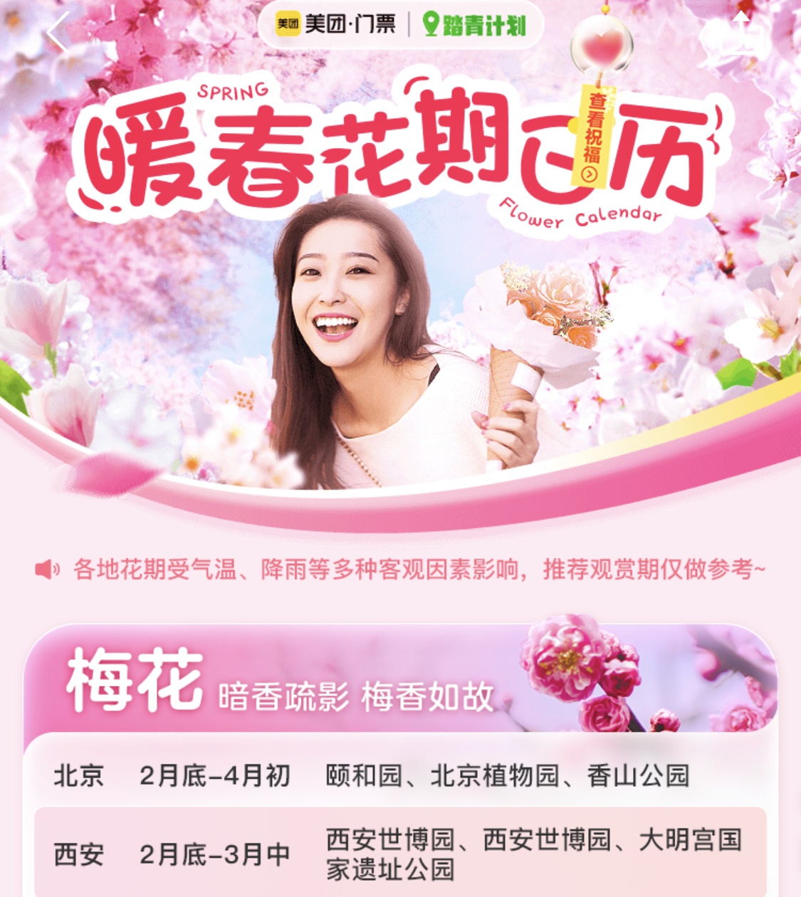 美團：近一周“夜櫻”賞花游搜索量同比增長470%