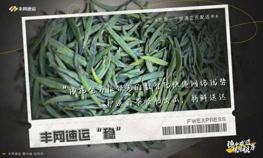 深山茶葉搭上快遞“專車” 豐網速運穩定服務保障茶葉運輸