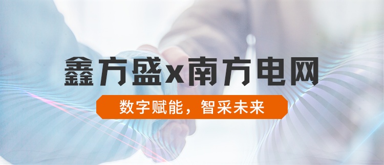 鑫方盛中標南方電網MRO物資電商化采購項目
