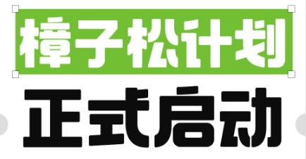 支付寶聯合60余家機構啟動“樟子松計劃” 向畢業生提供30個崗位