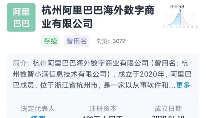 阿里旗下公司更名海外數字商業公司