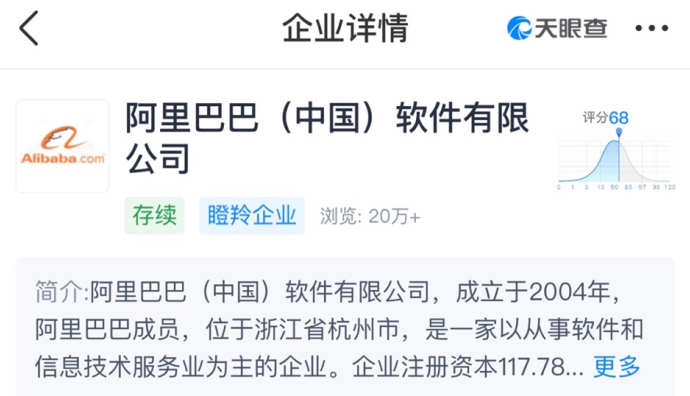 聞佳卸任阿里軟件公司法定代表人 項煌妹接任