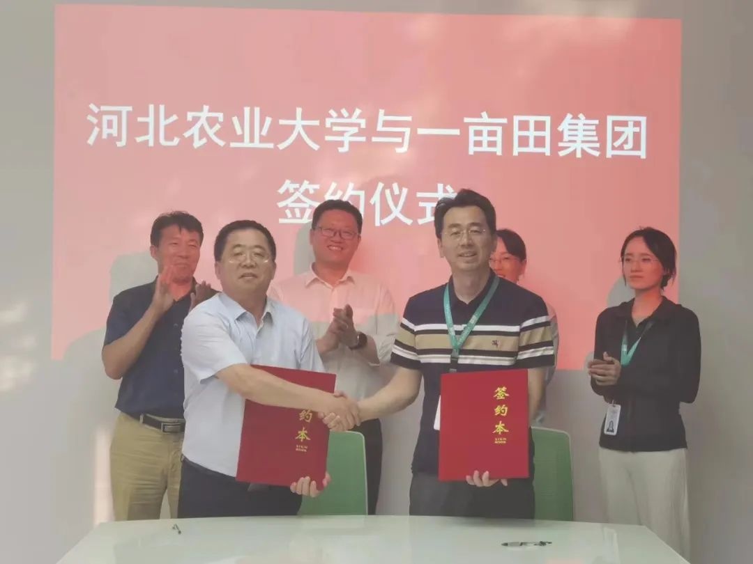 一畝田與河北農(nóng)業(yè)大學(xué)達(dá)成戰(zhàn)略合作