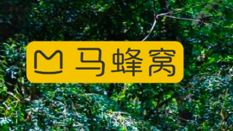馬蜂窩上線(xiàn)“暑期新蜂向”境外爆品專(zhuān)場(chǎng)大促