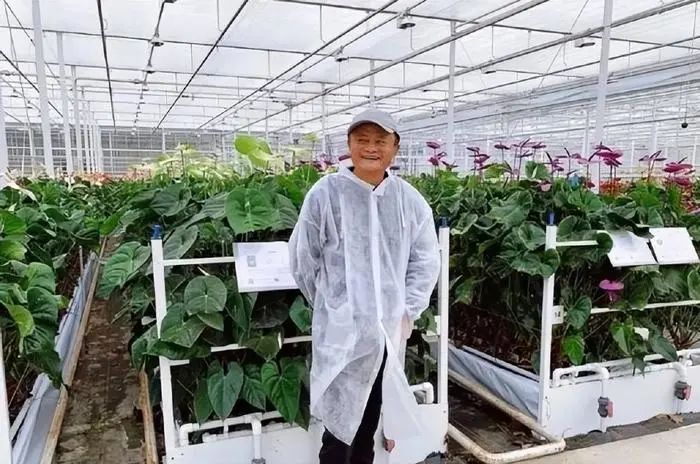 半年賣貨超萬億，直播帶動農(nóng)村電商爆發(fā)