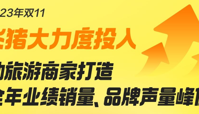 飛豬：報名參與雙11旅游商家總量同比增長超1倍