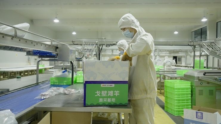 美團小象超市上線內蒙古四子王旗戈壁羊肉