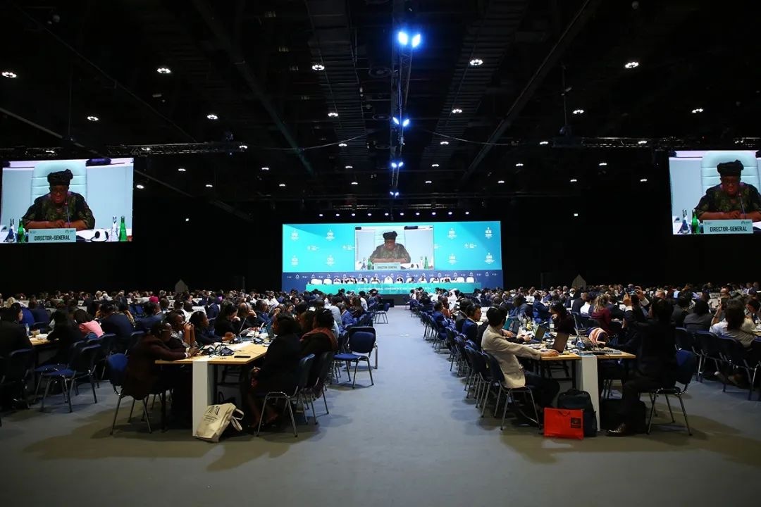 敦煌網王樹彤：技術和電商是實現更具包容性和可持續的全球經濟的關鍵