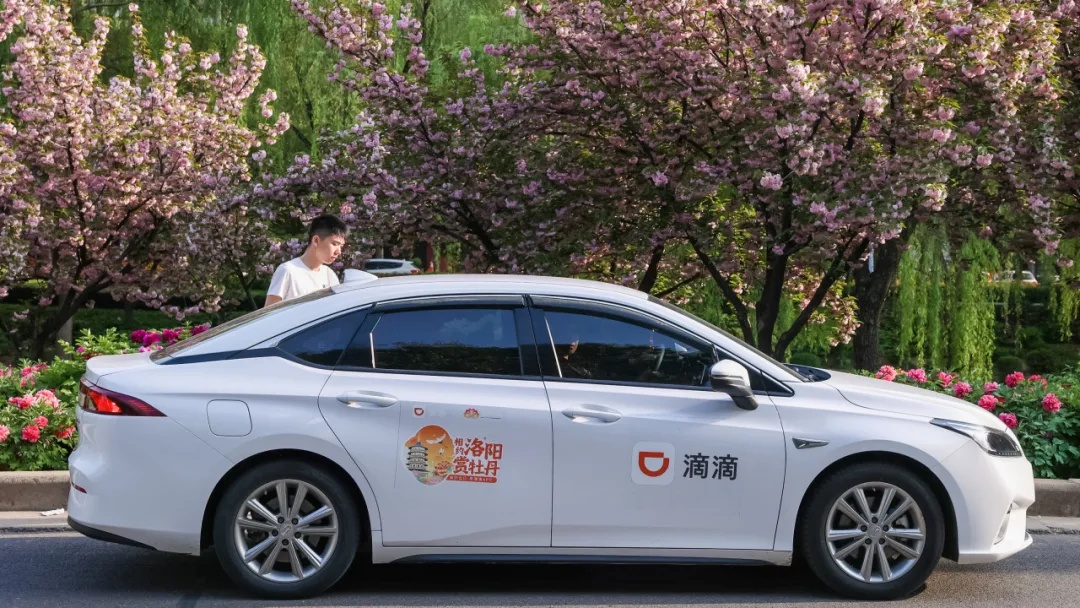 滴滴聯合洛陽文旅推出100輛“洛陽賞花季”彩蛋車